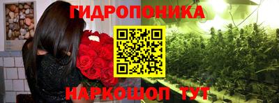 дмт Абинск