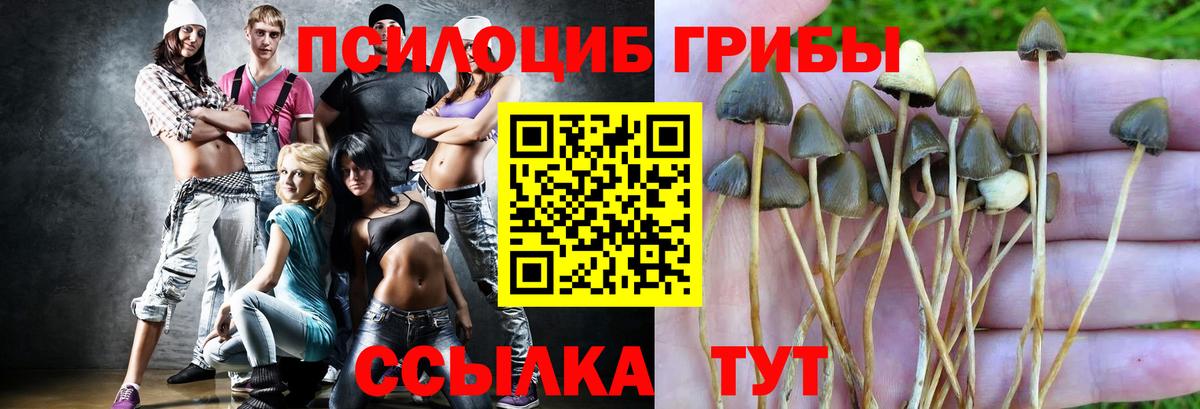 Ангарск  Псилоцибиновые грибы Magic Shrooms  Вход с VPN 
